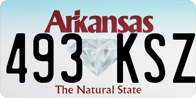 AR license plate 493KSZ