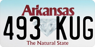 AR license plate 493KUG