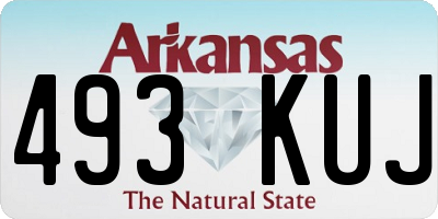AR license plate 493KUJ