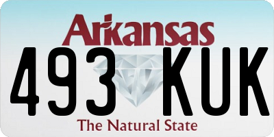 AR license plate 493KUK