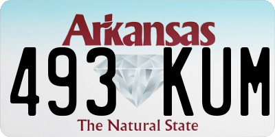 AR license plate 493KUM