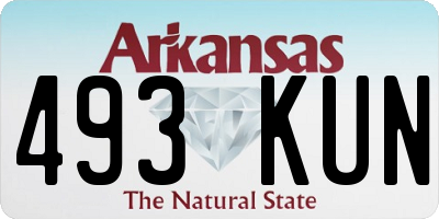 AR license plate 493KUN