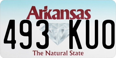 AR license plate 493KUO