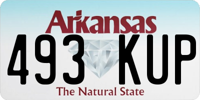 AR license plate 493KUP
