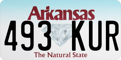 AR license plate 493KUR