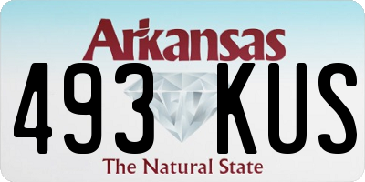 AR license plate 493KUS