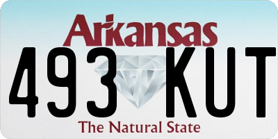 AR license plate 493KUT