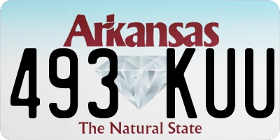 AR license plate 493KUU