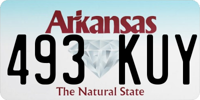 AR license plate 493KUY