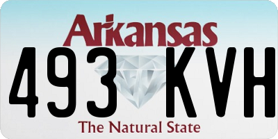 AR license plate 493KVH