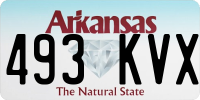 AR license plate 493KVX
