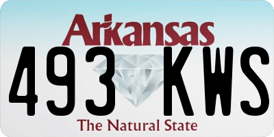 AR license plate 493KWS