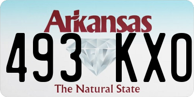 AR license plate 493KXO