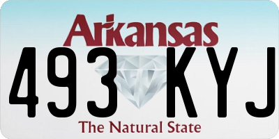 AR license plate 493KYJ