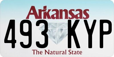 AR license plate 493KYP