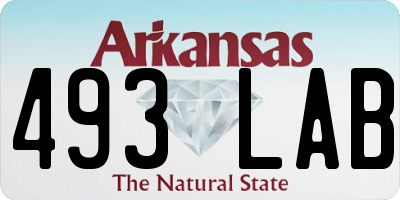 AR license plate 493LAB