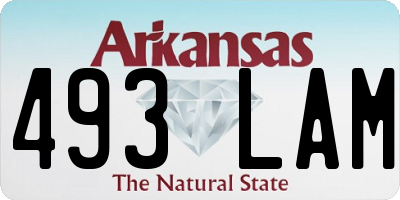 AR license plate 493LAM