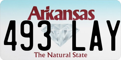 AR license plate 493LAY
