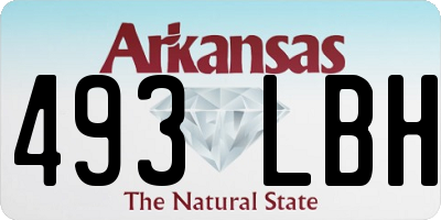 AR license plate 493LBH