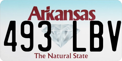 AR license plate 493LBV