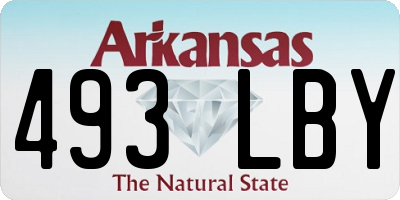 AR license plate 493LBY