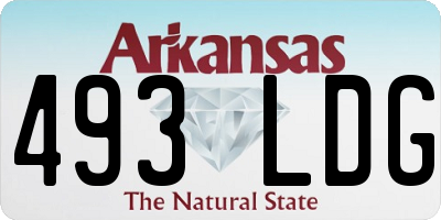 AR license plate 493LDG