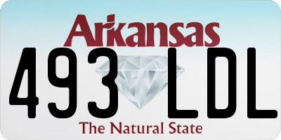 AR license plate 493LDL