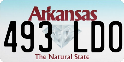 AR license plate 493LDO