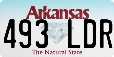 AR license plate 493LDR