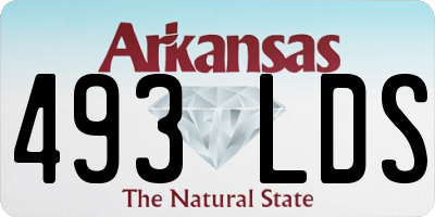 AR license plate 493LDS