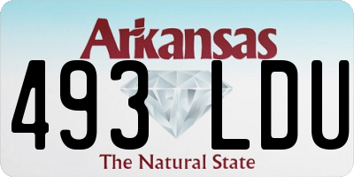 AR license plate 493LDU