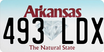 AR license plate 493LDX