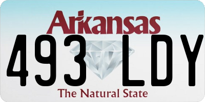 AR license plate 493LDY