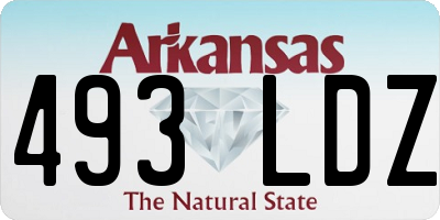 AR license plate 493LDZ