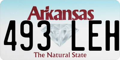 AR license plate 493LEH
