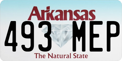 AR license plate 493MEP