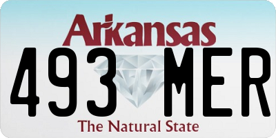 AR license plate 493MER