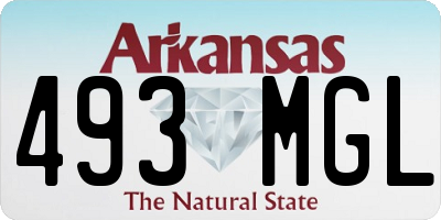 AR license plate 493MGL