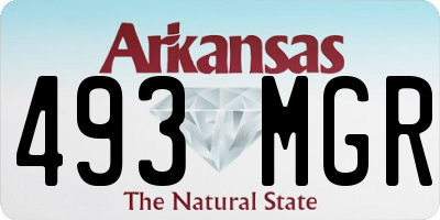 AR license plate 493MGR