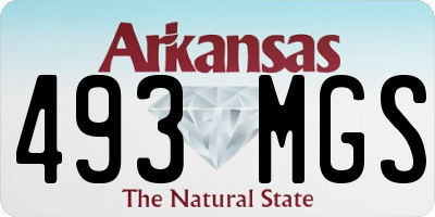 AR license plate 493MGS