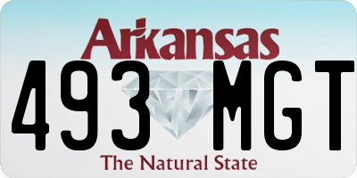 AR license plate 493MGT