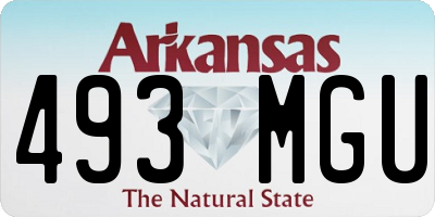 AR license plate 493MGU