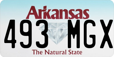 AR license plate 493MGX