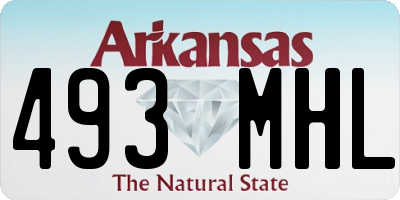 AR license plate 493MHL