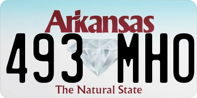 AR license plate 493MHO
