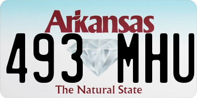 AR license plate 493MHU