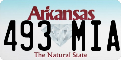 AR license plate 493MIA