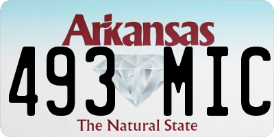 AR license plate 493MIC