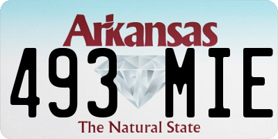 AR license plate 493MIE