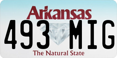 AR license plate 493MIG